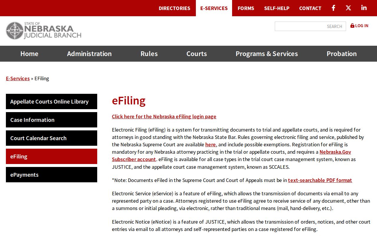Cedar County civil court docket Nebraska eFiling system information